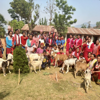 Zeremonie für Ziege und Mensch