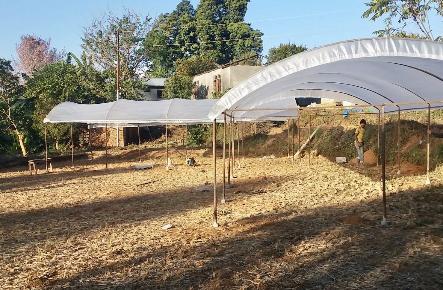 Gewächshaus-Projekt:Weiterbetrieb & Bau zwei neuer Gewächshäuser